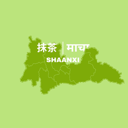 MATCHA CEREMONIAL AAA GRADE - SHAANXI